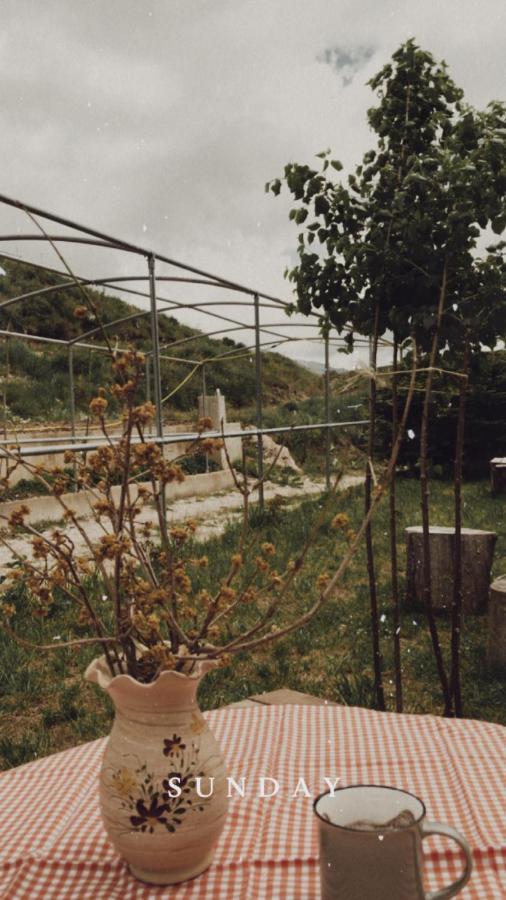 Bujtina Hader Xhebro Hostel Τεπελένι Εξωτερικό φωτογραφία