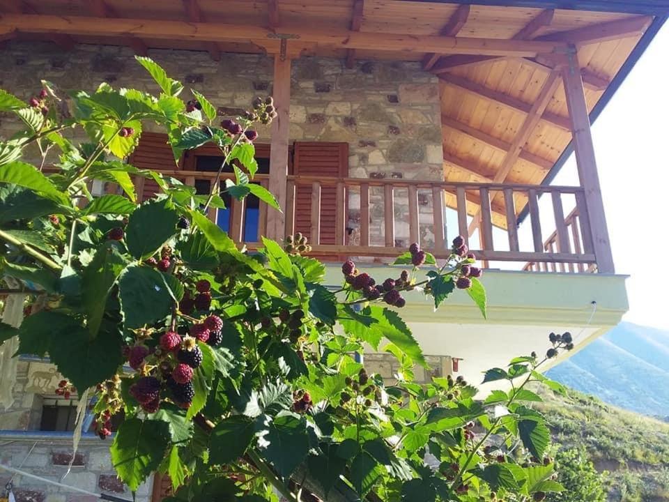 Bujtina Hader Xhebro Hostel Τεπελένι Εξωτερικό φωτογραφία